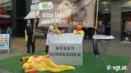 Schredder-Aktion