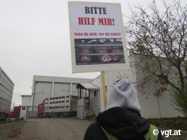 Aktivistin mit Schild 