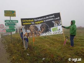 DemonstrantInnen 1
