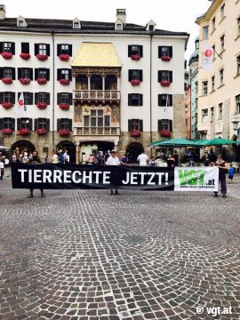 Demo vor dem Goldenen Dachl