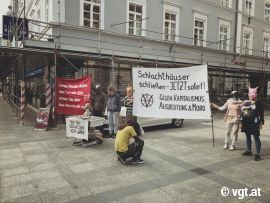 Infostand-Demo