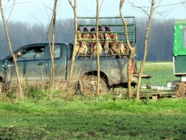 Pick-Up mit Aufhängevorrichtung für Jagdopfer