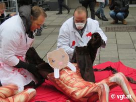 Häutung