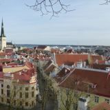 VGT hält Animal Liberation Workshop-Wochenende in Tallinn, Estland ab