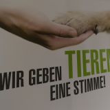Einladung: morgen Pressekonferenz verschiedener Vereine zum geplanten Tierschutzgesetz