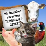 Nach Ministerrat VGT zu Tierschutzgesetz: Minimale Änderungen ändern nichts Essentielles