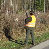 Donnerstag Gatterjagdverbot im Bgld Landtag, aber auch Betretungsverbot für Tierschützer
