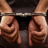 Nach illegaler Polizeiaktion: Prozess gegen Tierschützer wegen Widerstands gegen die Staatsgewalt