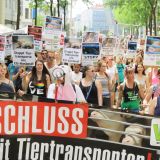 Tiertransporte: Mehr als 200 TierschützerInnen bei VGT-Kundgebung!