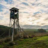 Mensdorff-Pouilly: € 1500 Strafe wegen illegalen Aussetzens von Federwild aufgehoben