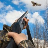 Anzeige bei der Behörde: geplante Entenjagd bei Mensdorff-Pouilly heuer illegal
