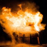 VGT fordert: Besserer Brandschutz für Tiere