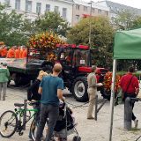 Infostand bei Erntedankfest