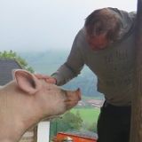 Tag der offenen Hoftüre im Tierparadies