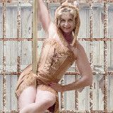 Einladung: Poledance gegen Pelz