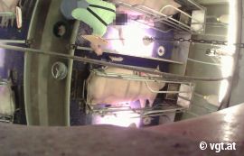 Arbeiter erschlägt Ferkel