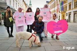 Eine Grupper Tierschützer_innen mit Schildern und Schweinchen Willi