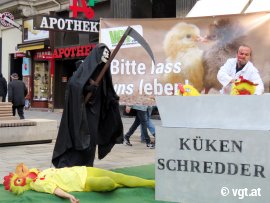 Der Tod hold Kücken vom Schredder ab