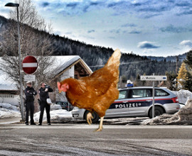 Polizist_innen auf der Straße beobachten ein Huhn