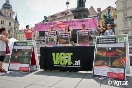 Aktivist_innen halten Schilder und Plakate