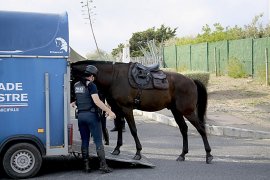 pferdetransporter