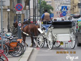 Fiaker mit Gästen
