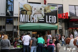 Tour gegen Kälbertransporte 3