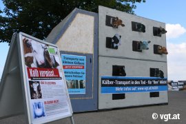 Tour gegen Kälbertransporte Bregenz 4