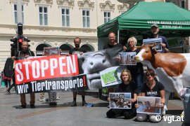 Tour gegen Kälbertransporte 2