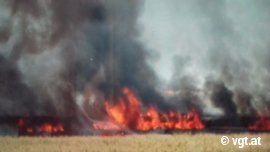 feuer