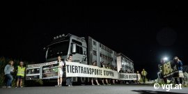 Aktivist_innen umringen einen parkenden Schweinetransporter