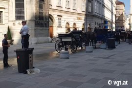 Fiaker und Polizist