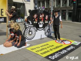 12-Stunden-Fiaker-Aktion 1