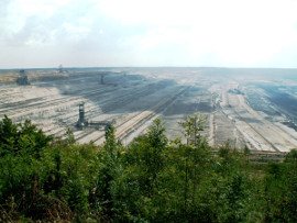 Hambacher Forst