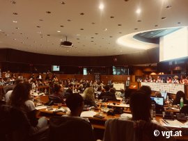Europa-Parlament