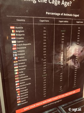 Chart: Tiere in Käfighaltung
