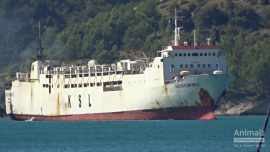 Schiffstransport 