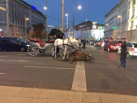 Fiaker im Dunkeln