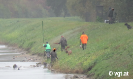 illegale Entenjagd 2