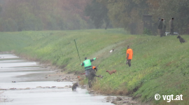illegale Entenjagd 3