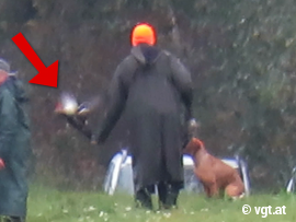 Jäger brickt Ente das Genick