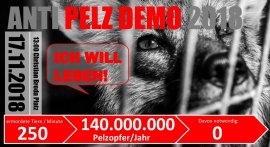 Einladung Pelz-Demo