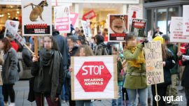 Demonstrant_innen mit selbstgemachten Demonstrationsschildern