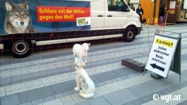 Ein echter Weideschutzzaun mit Schaf- und Wolf-Atrappen