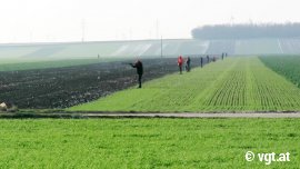 Jäger stehen aufgereiht um Tiere am Feld abzuschießen