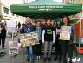 VGT Tirol Infostand