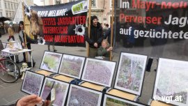 Waldverwüstung Medienaktion 2