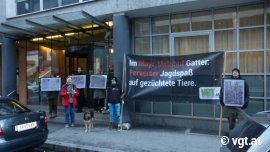 Demonstrant_innen