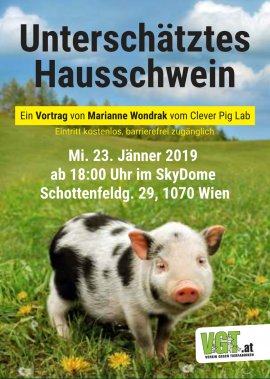 Ein kleines Schweinchen auf einer weiten Wiese