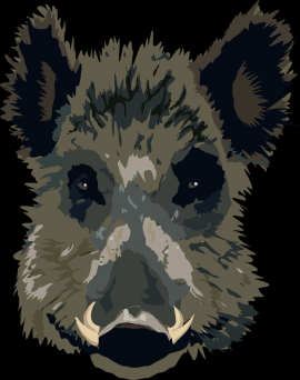 Wildschwein gezeichnet